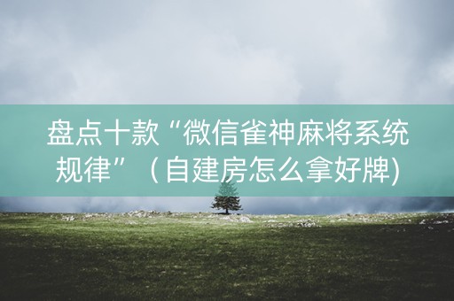 盘点十款“微信雀神麻将系统规律”（自建房怎么拿好牌)
