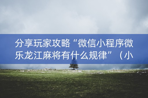 分享玩家攻略“微信小程序微乐龙江麻将有什么规律”（小程序控牌器)
