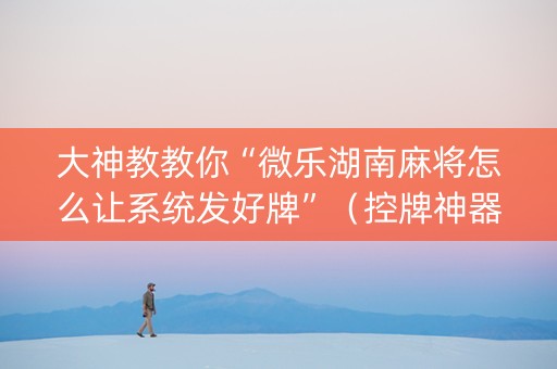 大神教教你“微乐湖南麻将怎么让系统发好牌”（控牌神器)
