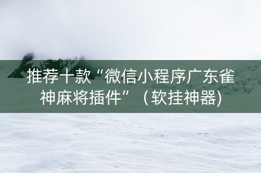 推荐十款“微信小程序广东雀神麻将插件”（软挂神器)