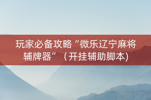玩家必备攻略“微乐辽宁麻将辅牌器”（开挂辅助脚本)