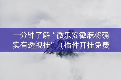 一分钟了解“微乐安徽麻将确实有透视挂”（插件开挂免费AI)