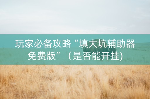 玩家必备攻略“填大坑辅助器免费版”（是否能开挂)