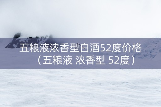 五粮液浓香型白酒52度价格（五粮液 浓香型 52度）