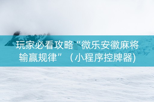 玩家必看攻略“微乐安徽麻将输赢规律”（小程序控牌器)
