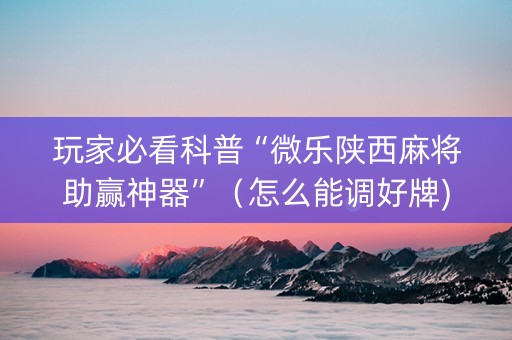 玩家必看科普“微乐陕西麻将助赢神器”（怎么能调好牌)