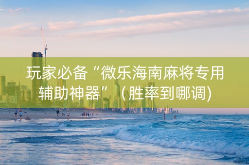 玩家必备“微乐海南麻将专用辅助神器”（胜率到哪调)