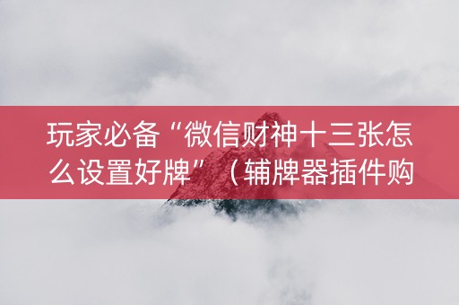 玩家必备“微信财神十三张怎么设置好牌”（辅牌器插件购买)