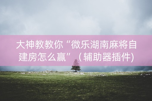 大神教教你“微乐湖南麻将自建房怎么赢”（辅助器插件)