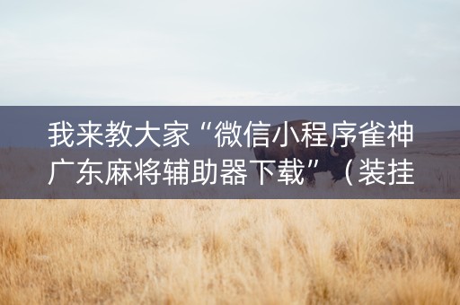 我来教大家“微信小程序雀神广东麻将辅助器下载”（装挂怎么安装)