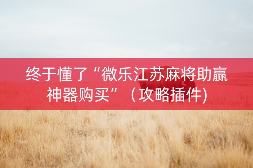终于懂了“微乐江苏麻将助赢神器购买”（攻略插件)