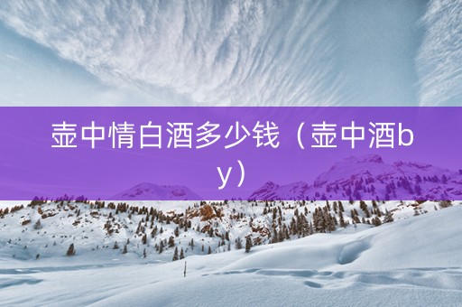 壶中情白酒多少钱（壶中酒by）