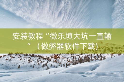 安装教程“微乐填大坑一直输”（做弊器软件下载)