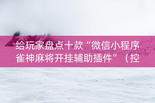 给玩家盘点十款“微信小程序雀神麻将开挂辅助插件”（控牌神器)