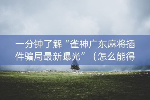 一分钟了解“雀神广东麻将插件骗局最新曝光”（怎么能得到好牌)