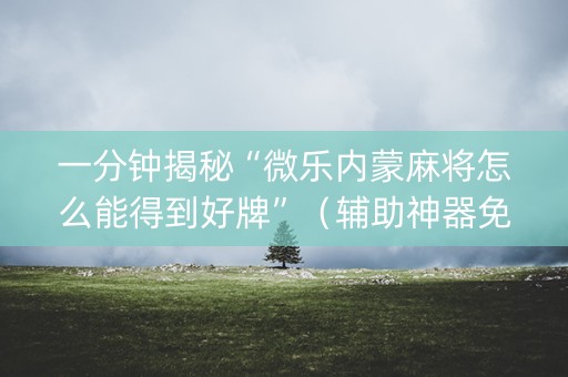 一分钟揭秘“微乐内蒙麻将怎么能得到好牌”（辅助神器免费)