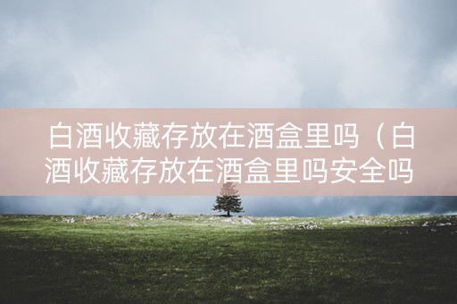 白酒收藏存放在酒盒里吗（白酒收藏存放在酒盒里吗安全吗）