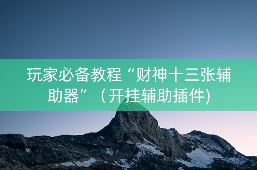 玩家必备教程“财神十三张辅助器”（开挂辅助插件)