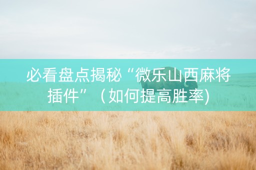 必看盘点揭秘“微乐山西麻将插件”（如何提高胜率)