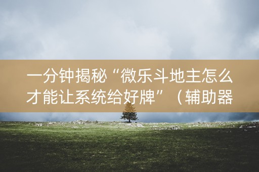 一分钟揭秘“微乐斗地主怎么才能让系统给好牌”（辅助器下载)