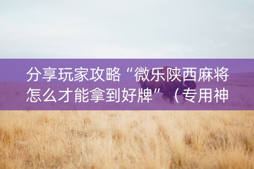 分享玩家攻略“微乐陕西麻将怎么才能拿到好牌”（专用神器下载)