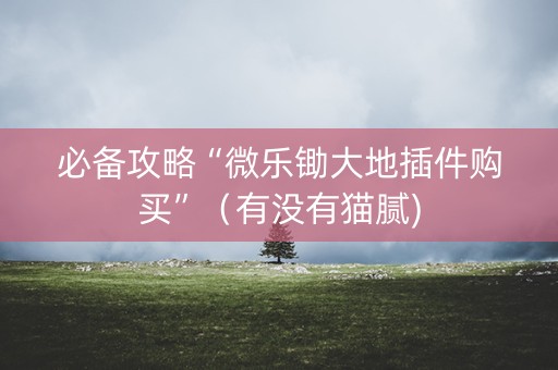 必备攻略“微乐锄大地插件购买”（有没有猫腻)