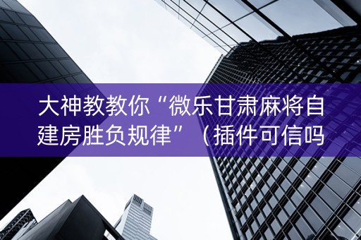 大神教教你“微乐甘肃麻将自建房胜负规律”（插件可信吗)