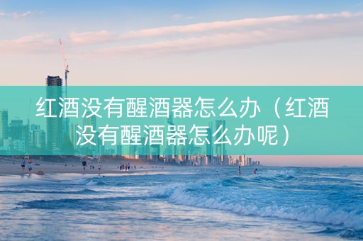 红酒没有醒酒器怎么办（红酒没有醒酒器怎么办呢）