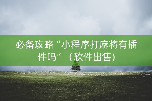 必备攻略“小程序打麻将有插件吗”（软件出售)