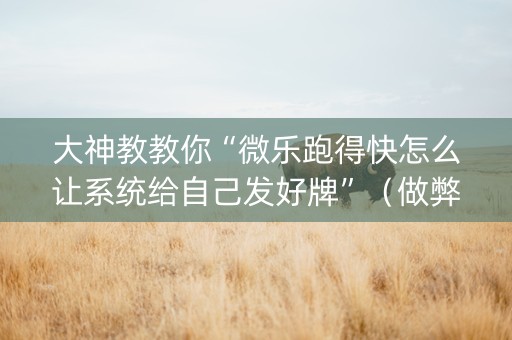 大神教教你“微乐跑得快怎么让系统给自己发好牌”（做弊器软件下载)