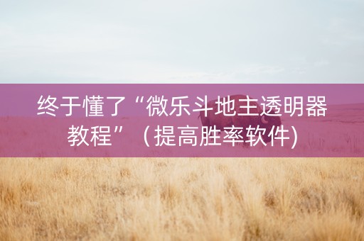 终于懂了“微乐斗地主透明器教程”（提高胜率软件)