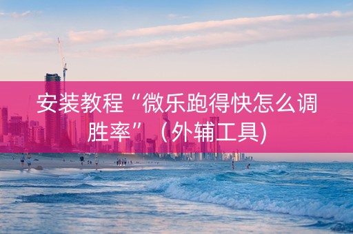 安装教程“微乐跑得快怎么调胜率”（外辅工具)