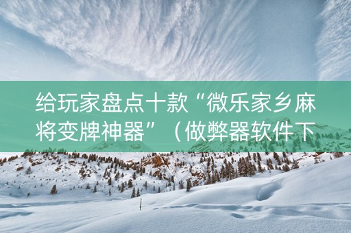 给玩家盘点十款“微乐家乡麻将变牌神器”（做弊器软件下载)