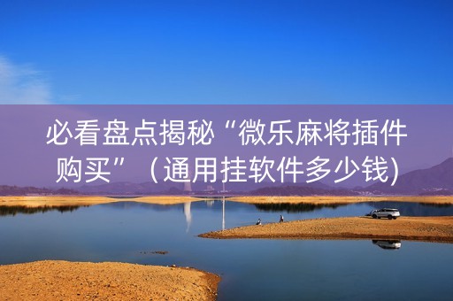 必看盘点揭秘“微乐麻将插件购买”（通用挂软件多少钱)