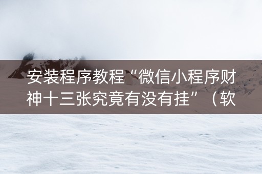安装程序教程“微信小程序财神十三张究竟有没有挂”（软挂神器)
