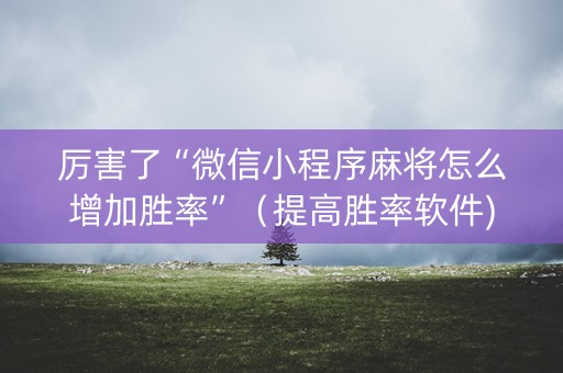 厉害了“微信小程序麻将怎么增加胜率”（提高胜率软件)