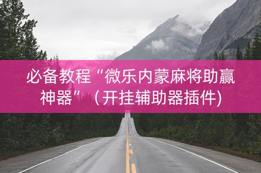 必备教程“微乐内蒙麻将助赢神器”（开挂辅助器插件)