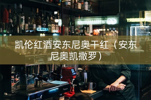 凯伦红酒安东尼奥干红（安东尼奥凯撒罗）