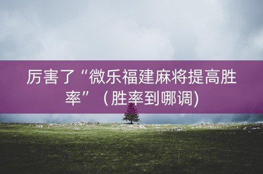 厉害了“微乐福建麻将提高胜率”（胜率到哪调)