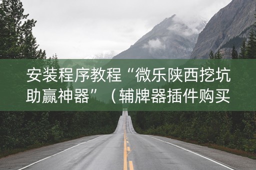 安装程序教程“微乐陕西挖坑助赢神器”（辅牌器插件购买)
