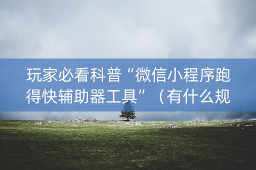 玩家必看科普“微信小程序跑得快辅助器工具”（有什么规律)