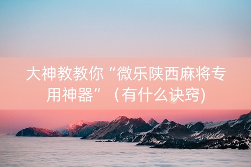 大神教教你“微乐陕西麻将专用神器”（有什么诀窍)