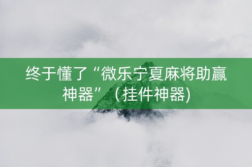 终于懂了“微乐宁夏麻将助赢神器”（挂件神器)