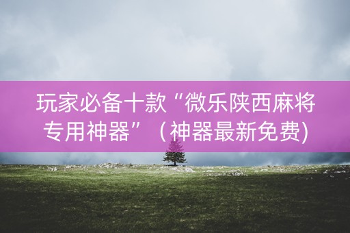玩家必备十款“微乐陕西麻将专用神器”（神器最新免费)