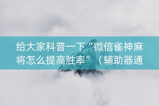 给大家科普一下“微信雀神麻将怎么提高胜率”（辅助器通用版)