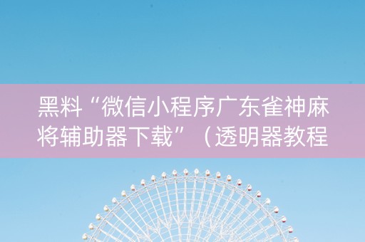 黑料“微信小程序广东雀神麻将辅助器下载”（透明器教程)