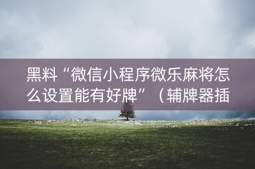 黑料“微信小程序微乐麻将怎么设置能有好牌”（辅牌器插件购买)
