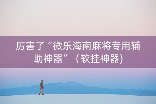 厉害了“微乐海南麻将专用辅助神器”（软挂神器)