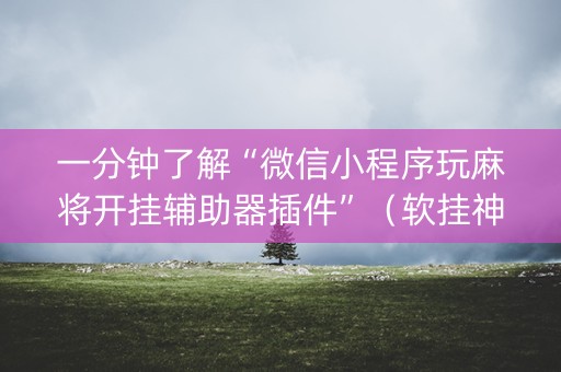一分钟了解“微信小程序玩麻将开挂辅助器插件”（软挂神器)