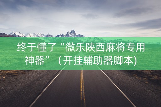 终于懂了“微乐陕西麻将专用神器”（开挂辅助器脚本)